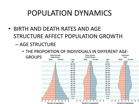 PPT - POPULATION DYNAMICS PowerPoint Presentation, free download - ID ...