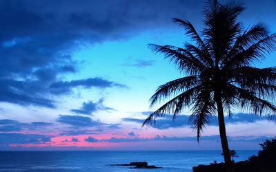 Blue sunset wallpaper - Beach wallpapers - #27271