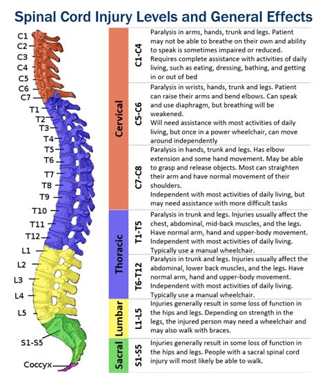 What is a Cervical Spinal Cord Injury? | Hamilton Personal Injury Lawyers