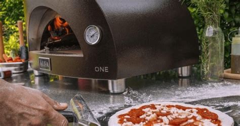 Alfa Pizza Oven Review in 2024