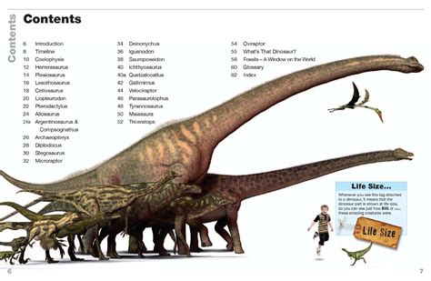 Dinosaur size - Alchetron, The Free Social Encyclopedia