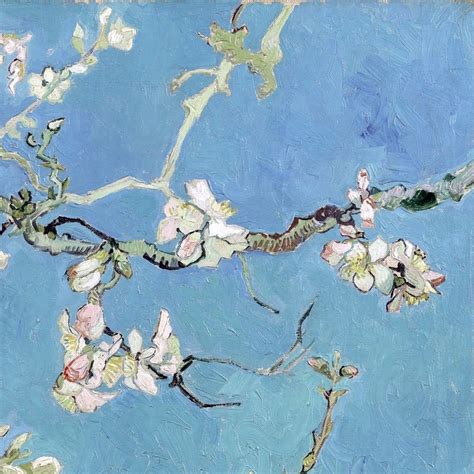 Almond Blossom (detail) by Vincent van Gogh - Lone Quixote