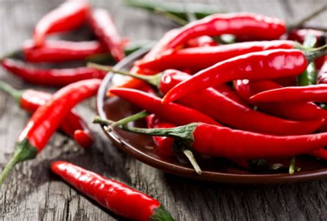 Capsaicin - Herb bio (Herbal Extract Supplier )