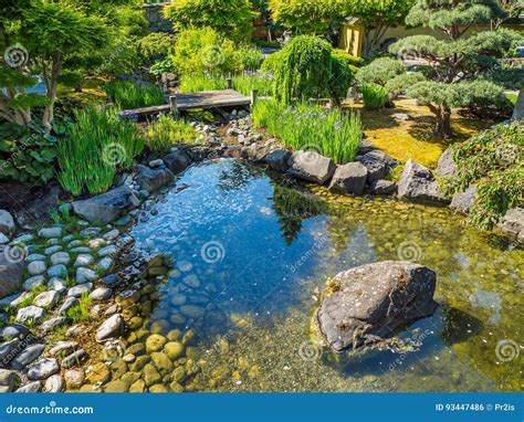 Japanese Garden Design with Water Stream and Bridge Stock Photo - Image ...