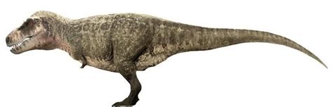 Prehistoric planet Tyrannosaurus rex | Prehistoric Planet | Prehistoric, Prehistoric animals ...