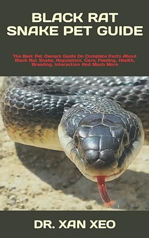 BLACK RAT SNAKE PET GUIDE: The Best Pet Owners Guide On Complete Facts About Black Rat Snake ...