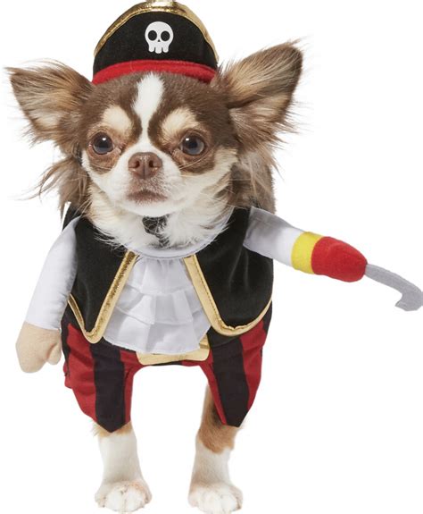 22 Super-Cute Halloween Costumes for Chihuahuas - Hey, Djangles.