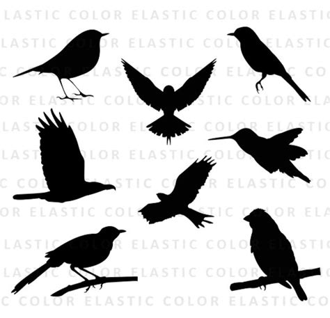 Bird Svg Silhouette Pack Bird Clipart Vector Digital - Etsy