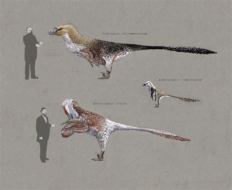 Dakotaraptor and Utahraptor 2.0 | Prehistoric animals, Prehistoric wildlife, Ancient animals