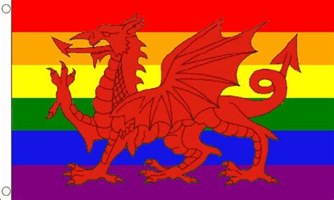 Rainbow Welsh Dragon Flag (Medium) - MrFlag