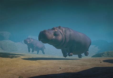 Hippopotamus | Planet Zoo Wiki | Fandom