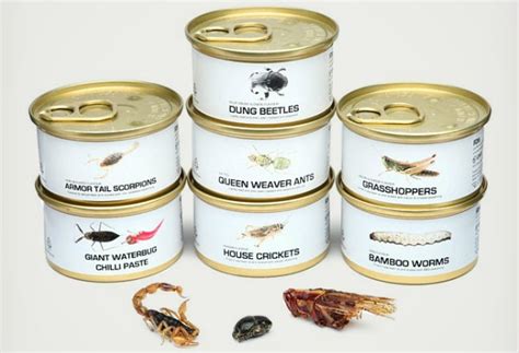 Canned Insects Include Bacon and Cheese Grasshoppers