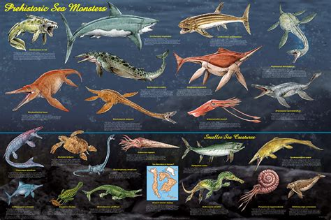 Prehistoric Sea Monsters Educational Poster 36x24 - Blacklight.com