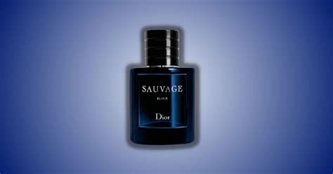 Do You Need Dior Sauvage Elixir In 2024? Discover NOW! - Besuited Aroma