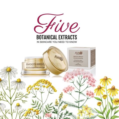 5 BOTANICAL EXTRACTS IN SKINCARE YOU NEED TO KNOW! - Your Beauty Pantry