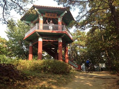 THE 15 BEST Things to Do in Pyeongtaek - 2023 (with Photos) - Tripadvisor