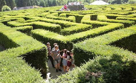 Leeds Castle Has the UK's Best Hedge Maze and Much More Too (5 stars PLUS) - bostoneventsinsider