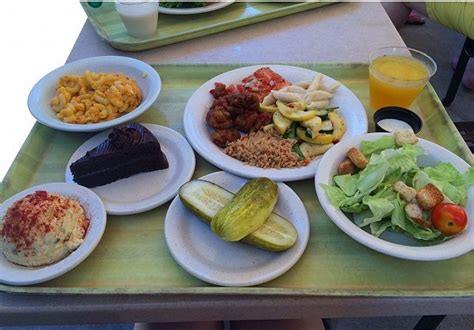 Discovery Cove Food – A Guide