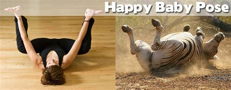 Animals Demonstrating Funny Yoga Poses (27 pics) ~ Cute Animals 4 You