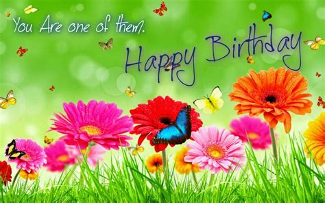 BirtHDay Flowers HD Wallpaper 19791 - Baltana