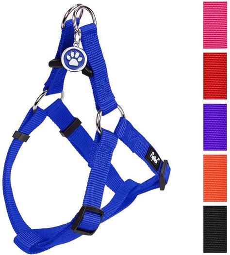 10 Best Dog Harnesses for Hiking in 2023