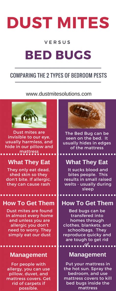 Think You Have Dust Mite Bites?...Think Again