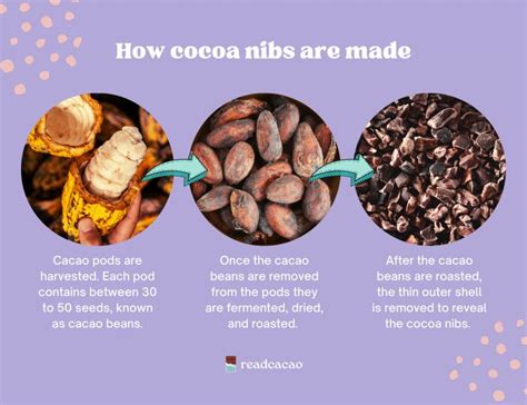 Cacao nibs: What are they and how do you use them? - ReadCacao | Cacao ...