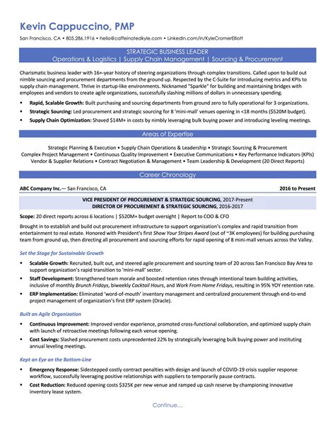 Procurement Executive Resume Sample | CaffeinatedKyle.com