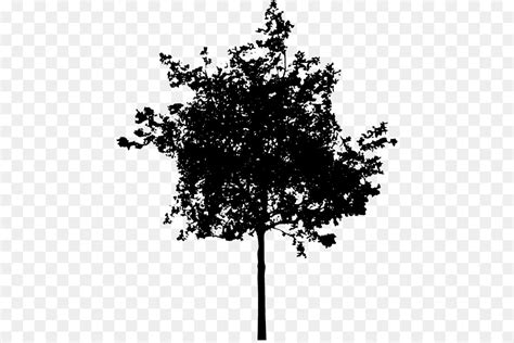 Free Small Tree Silhouette, Download Free Small Tree Silhouette png images, Free ClipArts on ...