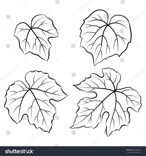 Set Plant Pictograms Grape Leaves Black Stock Vector (Royalty Free) 670365292 | Shutterstock