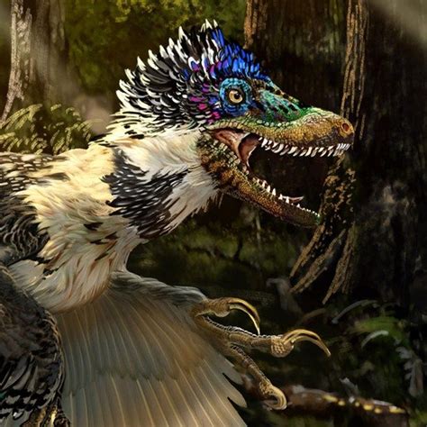 Scientists just found velociraptor's feathered Chinese cousin | Velociraptor, Prehistoric ...