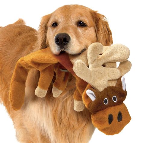 Stuffing Free Squeaky Dog Toys - Set of 4 | Collections Etc.