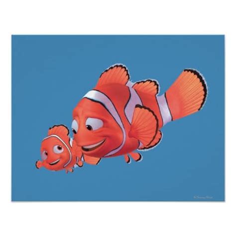 Learn the Types of Fishes in Finding Nemo - Fish Vet