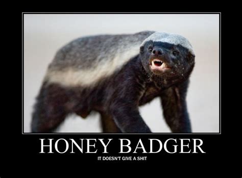 [Image - 119156] | Honey Badger | Know Your Meme