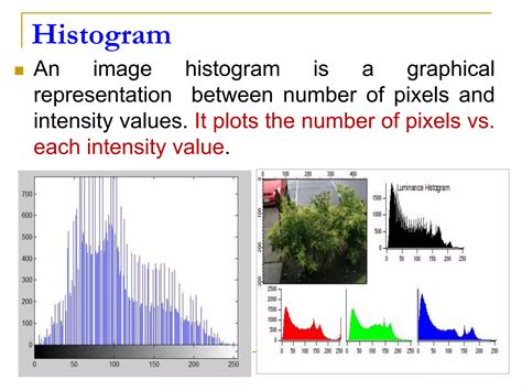 Histogram Equalization | PPT