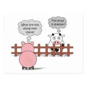 Funny Pig Quotes Sayings - ShortQuotes.cc