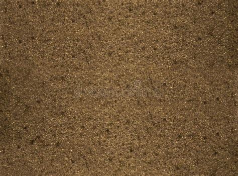 Texture of Brown Sponge. for Background. Close Up. White Sponge Natural ...