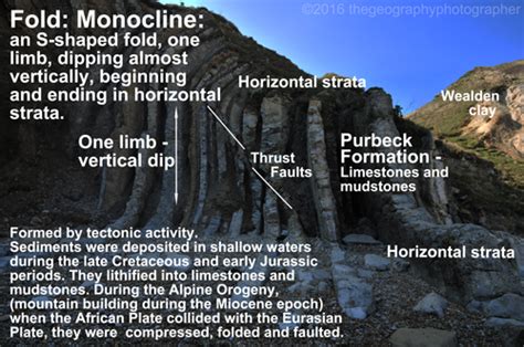 What is a monocline? Monoclinal fold photograph: geography photo with description and ...