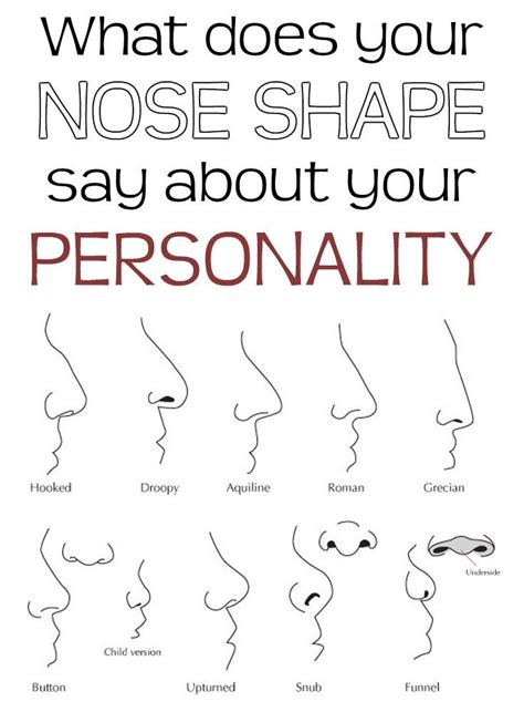 What Your Nose Shape Say About Your Personality 2020 Nose Shapes ...