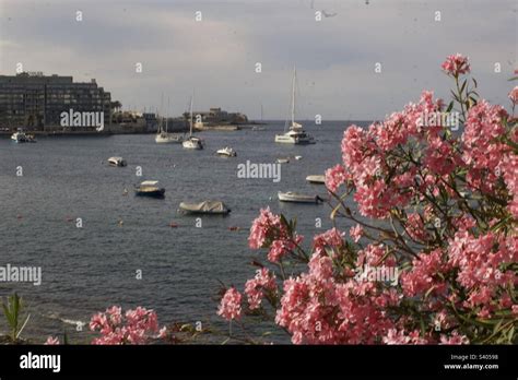 Port of Malta Stock Photo - Alamy