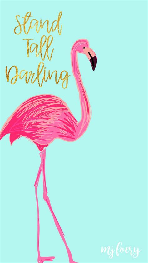 🔥 [40+] Flamingo iPhone Wallpapers | WallpaperSafari