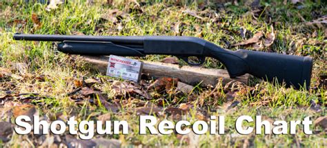 Shotgun Recoil Chart | AmmoForSale.com