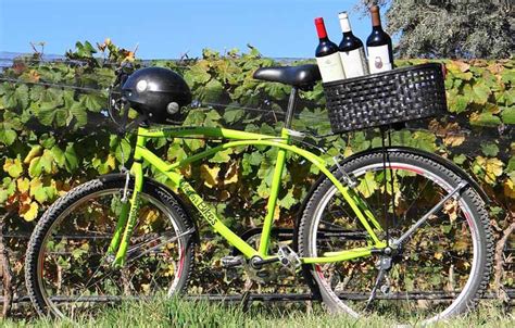 Mendoza Wine Tours - Martin's Bikes Cycling & Wine