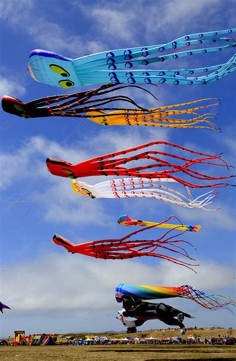 Giant Kites At The Berkeley Kite Festival Photograph by Her Arts Desire