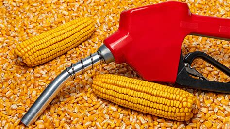 Understanding the Impact of Bioethanol on Food Prices | Britannica