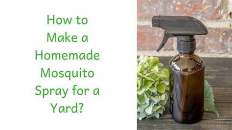 How to Make a Homemade Mosquito Spray for Yard?