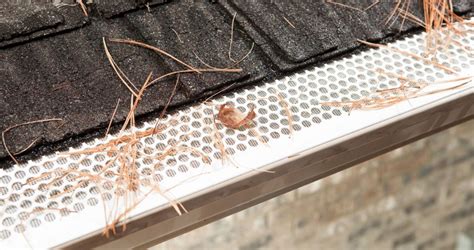 Understanding the Different Types of Gutter Guards - Superior Soffit | Expert Gutter ...