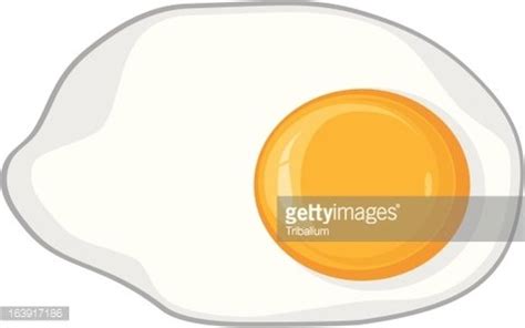 Fried Egg Stock Clipart | Royalty-Free | FreeImages