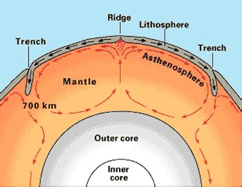 Diagram Of Convection Currents In The Mantle