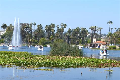 10 BEST Things to do at Echo Park Lake - CityBOP